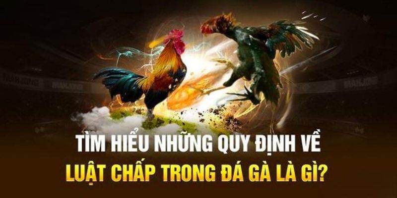 Luat-chap-trong-da-ga