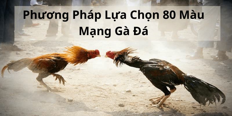 Phuong-phap-lua-chon-80-mau-mang-ga-da-chuan-nhat